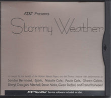 Load image into Gallery viewer, Stormy Weather