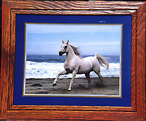 White Stallion at the Sea