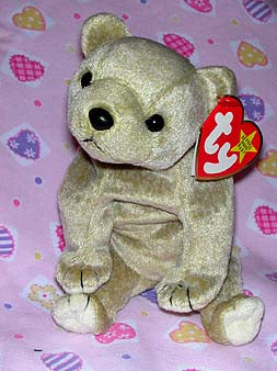 Almond the Bear