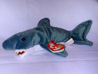 Crunch the Shark