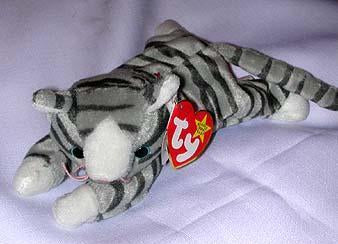 Prance the Grey Stripped Cat