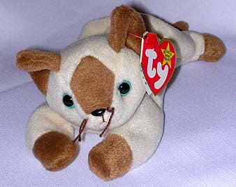 Snip the Siamese Cat