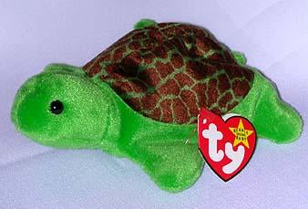 Speedy the Turtle