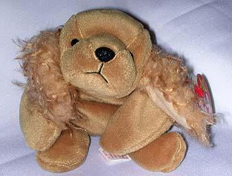 Spunky the Brown Cocker Spaniel