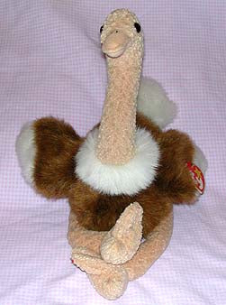 Stretch The Ostrick Buddy