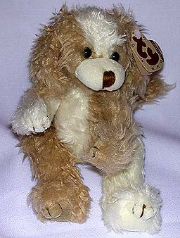 Scruffy the Tan & White Puppy