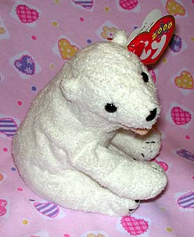 Aurora the White Bear