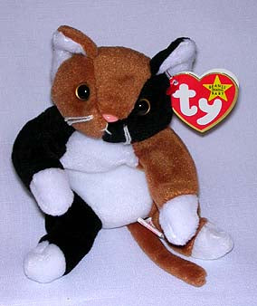 Chip the Tan and Black Cat