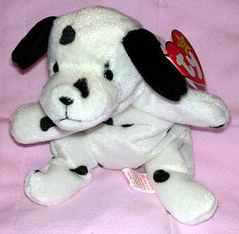 Dotty The Black & White Dalmatian with Black Ears.