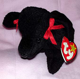 GiGi the Black Poodle