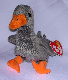 Honks the Gray Duck