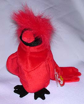 Mac the Red Cardinal