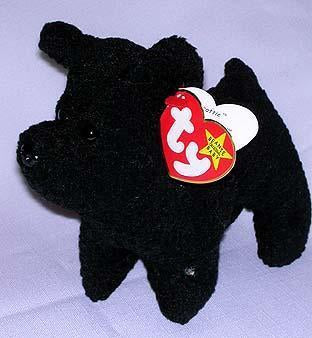 Scottie the Scottish Terrier