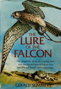 The Lure Of The Falcon