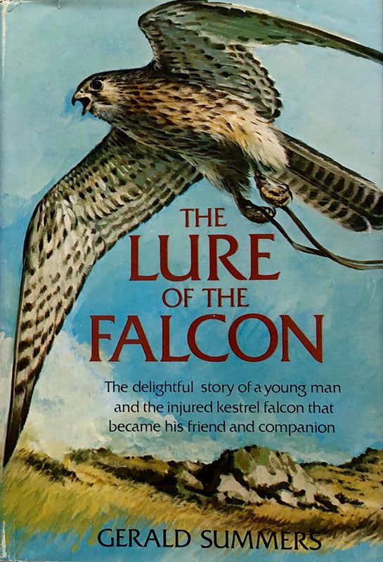 The Lure Of The Falcon