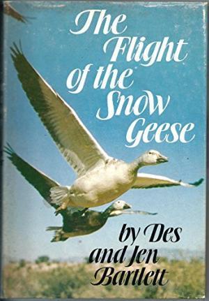 The Flight Of The Snow Geese
