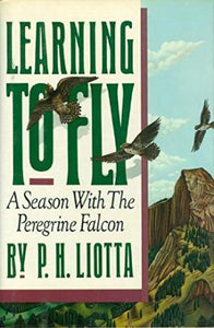 Learning To Fly