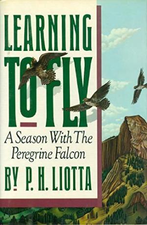 Learning To Fly