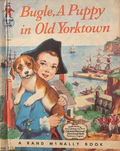 Bugle A Puppy In Old Yorktown