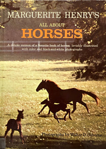All About Horses