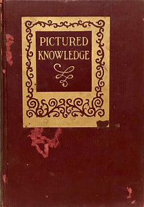 Pictured Knowledge: Vol. X