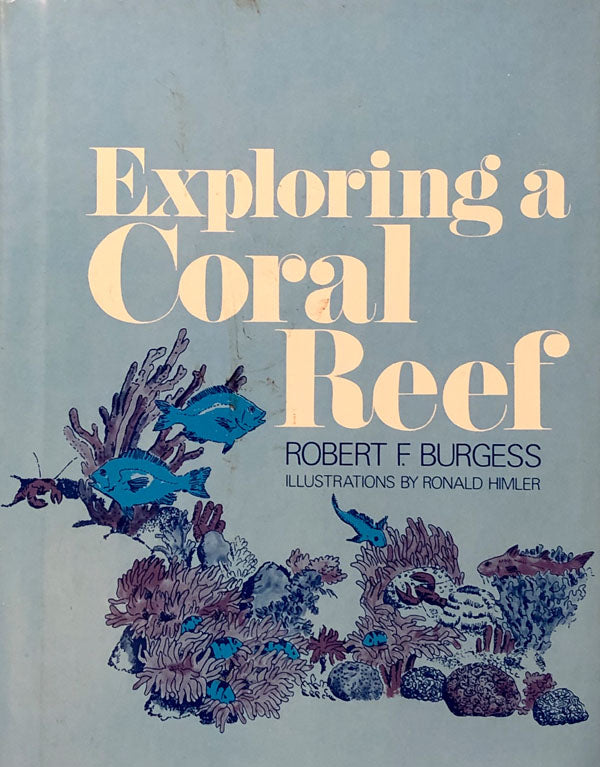 Exploring A Coral Reef
