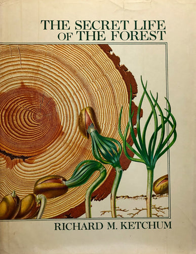 The Secret Life of the Forest