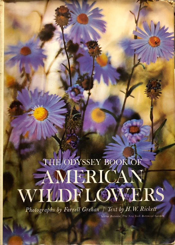 The Odyssey Book of American Wildflowers