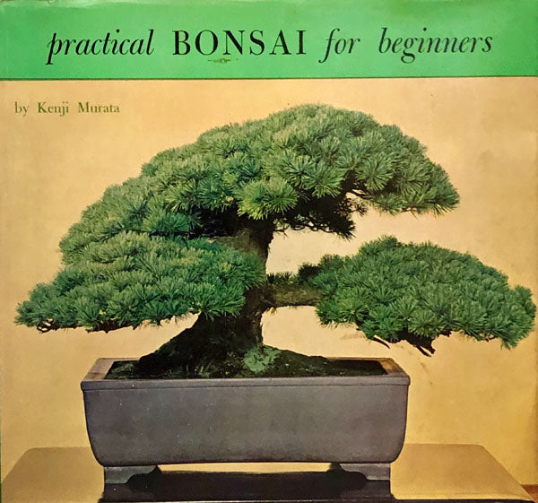Practical Bonsai for Beginners
