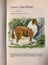 Load image into Gallery viewer, Best in Children&#39;s Books #10