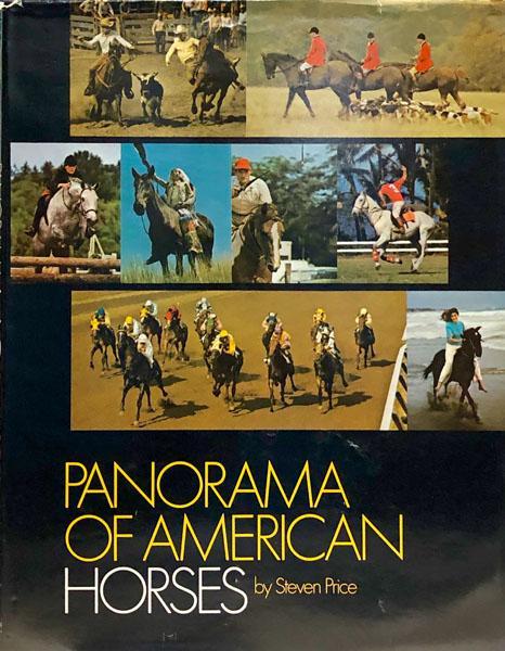 Panorama of American Horses