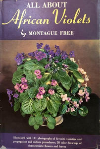 All About African Violets