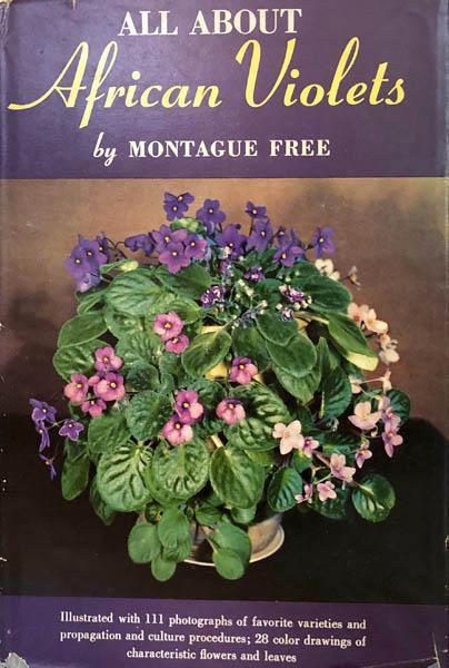 All About African Violets