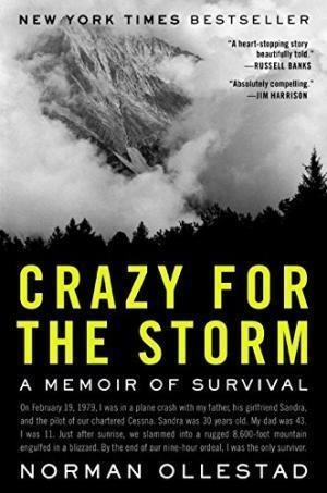 Crazy For The Storm