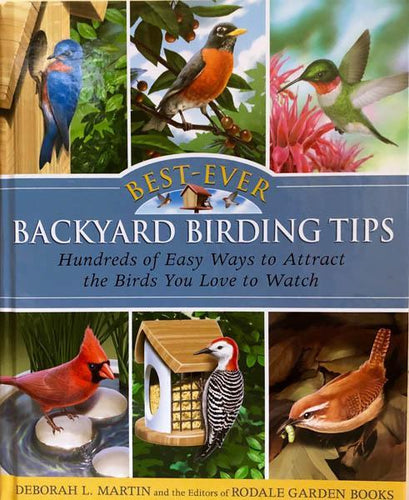 Backyard Birding Tips