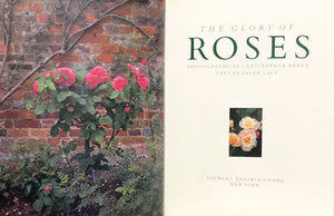 The Glory of Roses