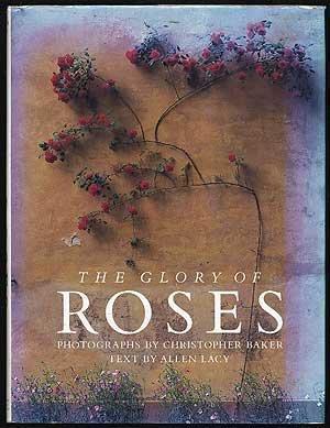 The Glory of Roses