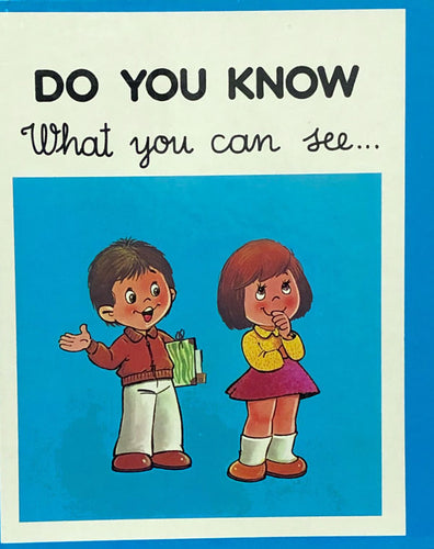 Do You Know What You Can See...