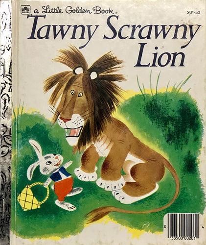 Tawny Scrawny Lion
