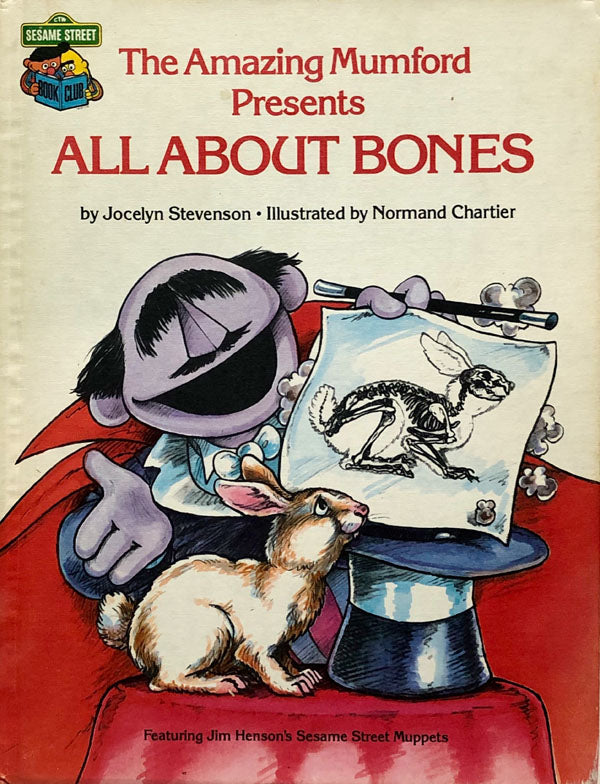 All About Bones