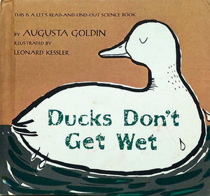 Ducks Don't Get Wet