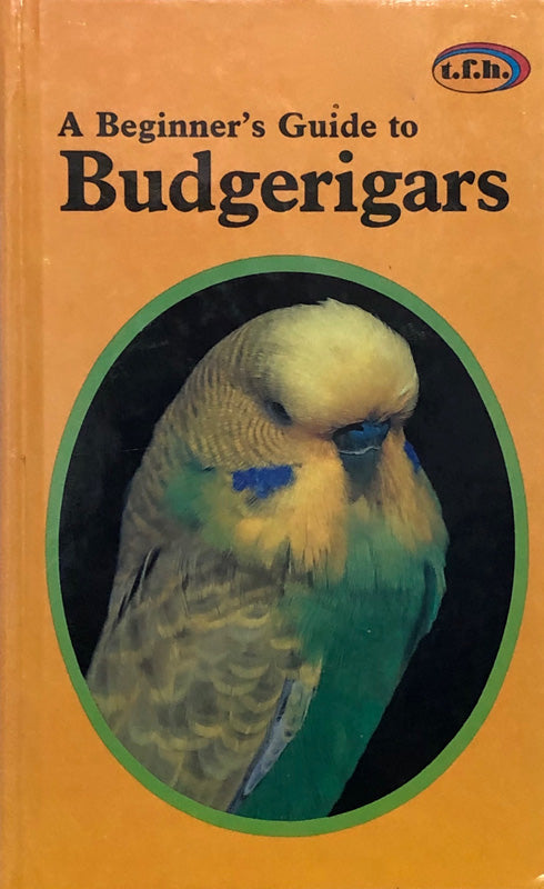 A Beginner's Guide to Budgerigars