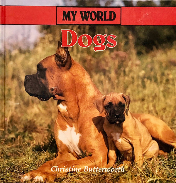 Dogs