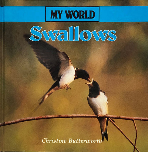 Swallows