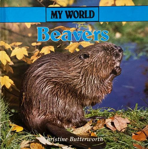 Beavers