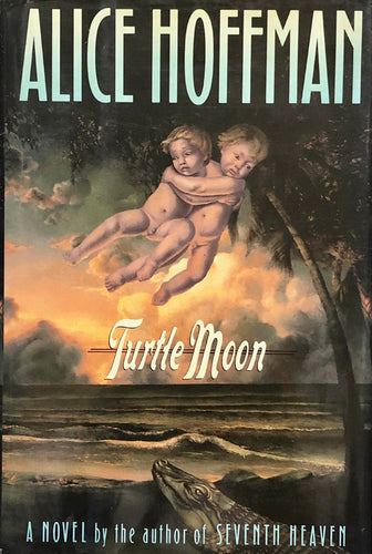 Turtle Moon