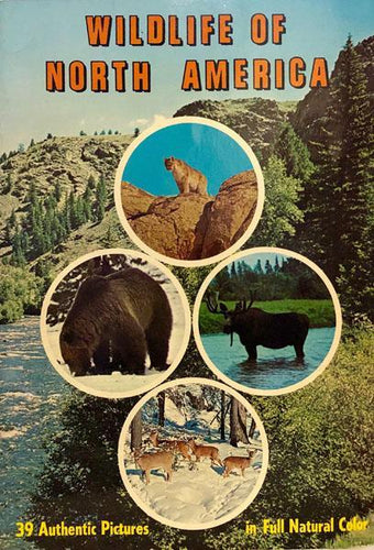 Wildlife of North America