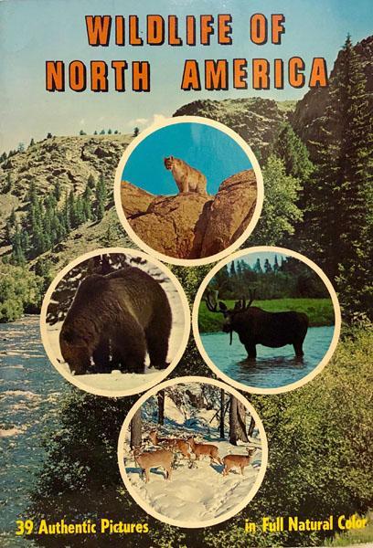 Wildlife of North America