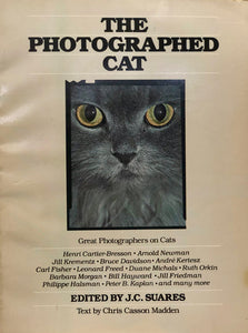 The Photographed Cat