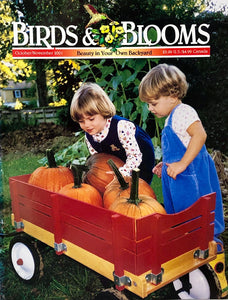 Birds & Blooms October/November 2001